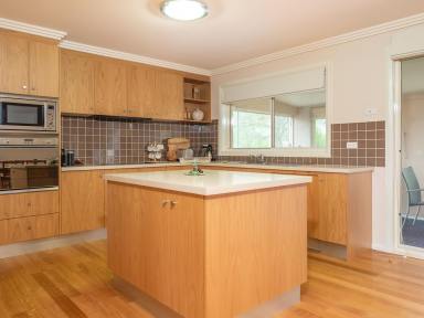 House Sold - NSW - Surf Beach - 2536 - Stunning Family Home  (Image 2)