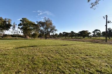 Residential Block For Sale - VIC - Beechworth - 3747 - ALMA PLACE - SUSTAINABLE SUBDIVISION  (Image 2)