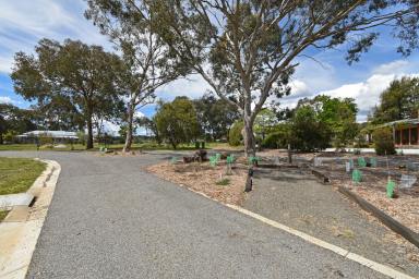 Residential Block For Sale - VIC - Beechworth - 3747 - ALMA PLACE - SUSTAINABLE SUBDIVISION  (Image 2)