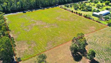 Residential Block For Sale - QLD - Cardwell - 4849 - Country Living Close to Cardwell  (Image 2)