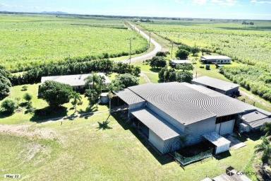 Other (Rural) For Sale - QLD - Brandon - 4808 - Rendered Block Home with Huge Shed on 2 Acres +  (Image 2)