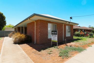 Office(s) Leased - VIC - Kerang - 3579 - Endless Opportunities  (Image 2)