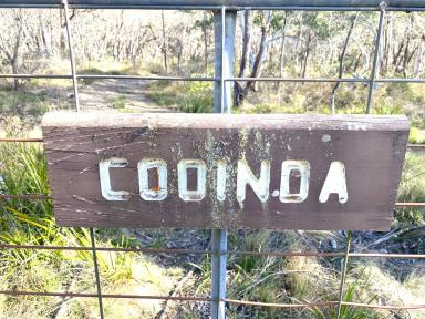 Lifestyle For Sale - NSW - Wombeyan Caves - 2580 - "Cooinda" your natural bush retreat!  (Image 2)