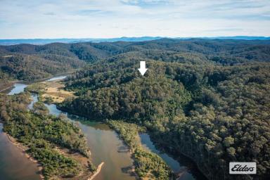 Residential Block For Sale - NSW - Mogareeka - 2550 - Bush, River Flats & Bega River Frontage  (Image 2)