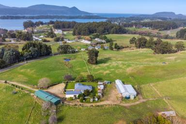 House Sold - TAS - Port Arthur - 7182 - A Charming Home with Abundant Opportunities in Serene Setting  (Image 2)