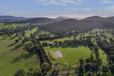Lifestyle Sold - VIC - Mirranatwa - 3294 - Tranquil Rural Acreage  (Image 2)