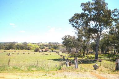 Land/Development For Sale - NSW - Young - 2594 - Step into a World of Possibilities: Exclusive Commercial/Industrial Land Awaits - Your Vision, Your Triumph! Seize the Opportunity Today!  (Image 2)