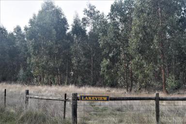 Other (Rural) For Sale - VIC - Mount Bolton - 3352 - 46.5Ha (approx. 115 acres) Homesite/Investment Opportunity; Fully-fenced; Permanent Spring; Extensive Views.  (Image 2)
