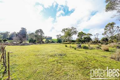 Residential Block Sold - TAS - Nabowla - 7260 - Another Property SOLD SMART by Peter Lees Real Estate  (Image 2)