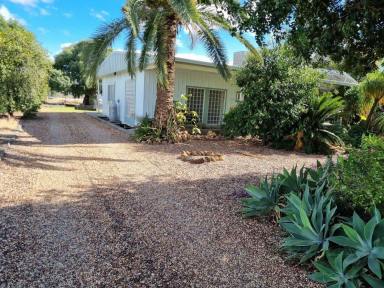 House Leased - NSW - Moree - 2400 - For Rent  (Image 2)