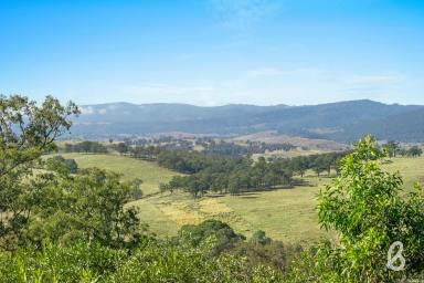 Other (Rural) Sold - NSW - Singleton - 2330 - SWEEPING VIEWS, TWO HOMES & DOUBLE CREEK FRONTAGE  (Image 2)
