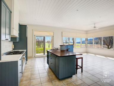 House Leased - NSW - Paddys River - 2577 - Forget the rest of the world exists!  (Image 2)