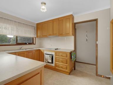 House For Lease - TAS - Devonport - 7310 - Close to Shops, Schools and Tafe  (Image 2)