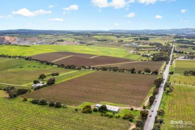 Other (Rural) Sold - SA - McLaren Vale - 5171 - 15 Acres – Breathtaking Views / Potential Building Site.  (Image 2)