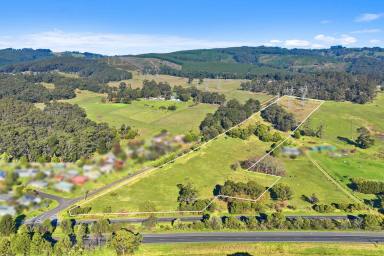 Mixed Farming For Sale - VIC - Trafalgar East - 3824 - National Highway Frontage of 11.43 Acres  (Image 2)