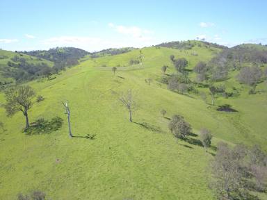 Mixed Farming For Sale - NSW - Numbugga - 2550 - 'Valley View' 
Spectacular Grazing Property with Stunning Views!  (Image 2)