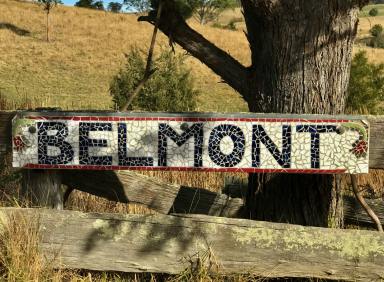 Mixed Farming For Sale - NSW - Numbugga - 2550 - Belmont and Valley View - 2 adjoining, meticulously maintained, broadacre grazing properties and homesteads, totaling 970 acres.  (Image 2)
