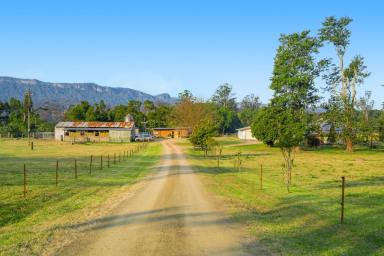 Other (Rural) Sold - NSW - Upper Lansdowne - 2430 - Complete Package Ready to Make Your Own  (Image 2)