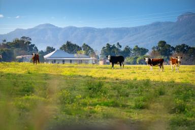 Other (Rural) Sold - NSW - Upper Lansdowne - 2430 - Complete Package Ready to Make Your Own  (Image 2)