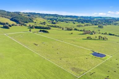 Other (Rural) Sold - VIC - Gainsborough - 3822 - Immaculate 20 acres - Tightly Held Farmland  (Image 2)