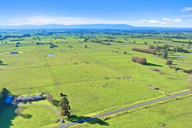 Other (Rural) Sold - VIC - Gainsborough - 3822 - Immaculate 20 acres - Tightly Held Farmland  (Image 2)