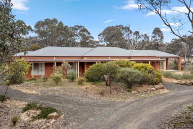House Sold - VIC - Junortoun - 3551 - Family Home In Tranquil Native Surrounds  (Image 2)
