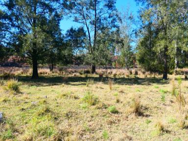 Residential Block Sold - NSW - Lionsville - 2460 - BUY YOUR OWN GOLD TOWN  (Image 2)