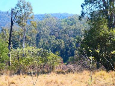 Residential Block Sold - NSW - Lionsville - 2460 - BUY YOUR OWN GOLD TOWN  (Image 2)