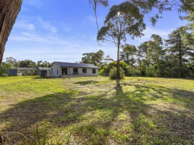 House For Sale - VIC - Port Welshpool - 3965 - As-new home, half acre block  (Image 2)