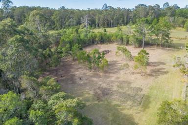 House Sold - QLD - Ringtail Creek - 4565 - Small Acreage Heaven With Added Benefits  (Image 2)