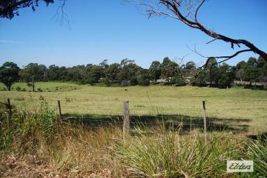 Residential Block For Sale - VIC - Lakes Entrance - 3909 - UNDER CONTRACT  (Image 2)
