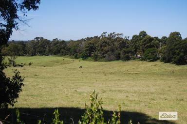 Residential Block For Sale - VIC - Lakes Entrance - 3909 - UNDER CONTRACT  (Image 2)