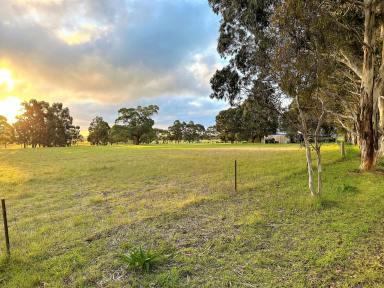 House Sold - SA - Naracoorte - 5271 - Delight in the lifestyle on offer here  (Image 2)