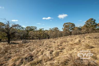 Residential Block For Sale - NSW - Guyra - 2365 - Getaway property with a building entitlement  (Image 2)