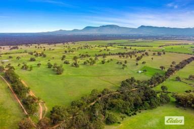 Mixed Farming Sold - VIC - Pomonal - 3381 - Grazing & Lifestyle With Outstanding Grampians Views - 290 Acres  (Image 2)