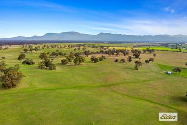 Mixed Farming Sold - VIC - Pomonal - 3381 - Grazing & Lifestyle With Outstanding Grampians Views - 290 Acres  (Image 2)