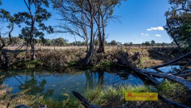 Other (Rural) For Sale - NSW - Mudgee - 2850 - 25 ACRES, CREEK FRONTAGE, MINUTES FROM MUDGEE  (Image 2)