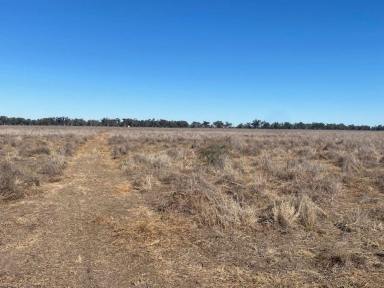 Other (Rural) Sold - NSW - Burren Junction - 2386 - AUCTION  (Image 2)