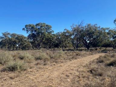 Other (Rural) Sold - NSW - Burren Junction - 2386 - AUCTION  (Image 2)