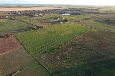 Other (Rural) For Sale - VIC - Nyah West - 3595 - A Very Handy Block  (Image 2)
