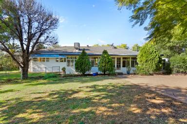House Sold - NSW - Gunnedah - 2380 - Simply Charming  (Image 2)