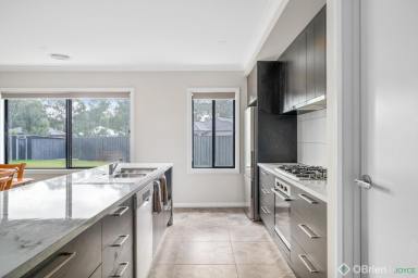 House Sold - VIC - Wangaratta - 3677 - Immaculate Modern Home, Quiet Court Location  (Image 2)