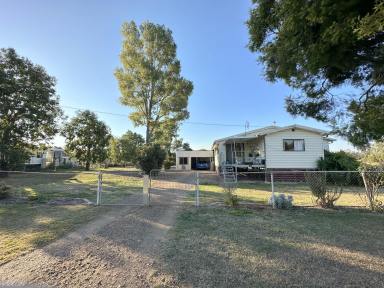 House Sold - NSW - Moree - 2400 - QUIET COUNTRY LIFESTYLE ON A LARGE BLOCK  (Image 2)
