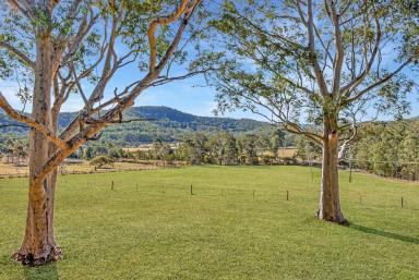 Lifestyle For Sale - NSW - Mount View - 2325 - Picturesque Country Weekender  (Image 2)