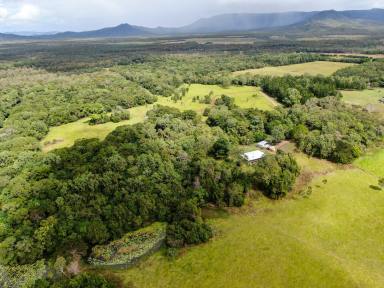 Mixed Farming Sold - QLD - Cooktown - 4895 - 4 Bedroom Home, Lavish Pastures and Billabong on 65 Acres  (Image 2)