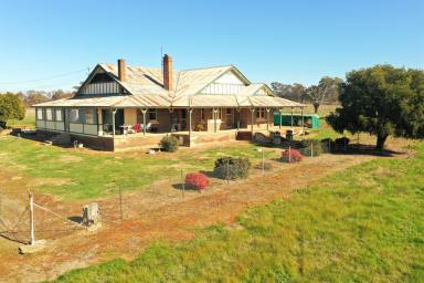 Other (Rural) For Sale - NSW - Young - 2594 - "Yandilla" - 356ac Mixed Farming Opportunity  (Image 2)