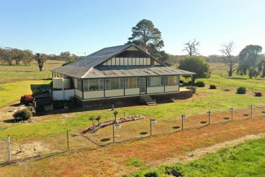 Other (Rural) For Sale - NSW - Young - 2594 - "Yandilla" - 356ac Mixed Farming Opportunity  (Image 2)