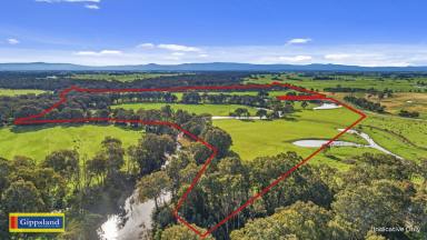 Lifestyle For Sale - VIC - Bundalaguah - 3851 - Ideal grazing and cropping property  (Image 2)