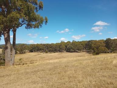 Lifestyle Sold - VIC - Gormandale - 3873 - Lifestyle Property Complete With Inground Pool on 97 Acres  (Image 2)