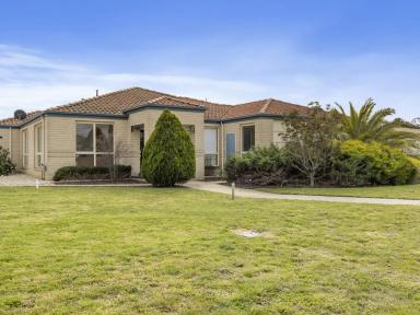 House Sold - VIC - Seymour - 3660 - Large Family Home  (Image 2)